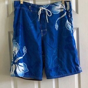 American Eagle Outfitters Blue and White Board Shorts